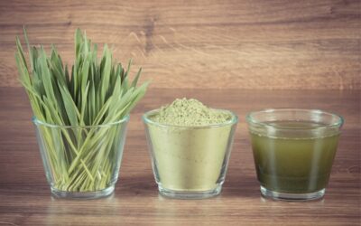 Gerstengras – Ein Superfood mit vielen Nährstoffen🌿